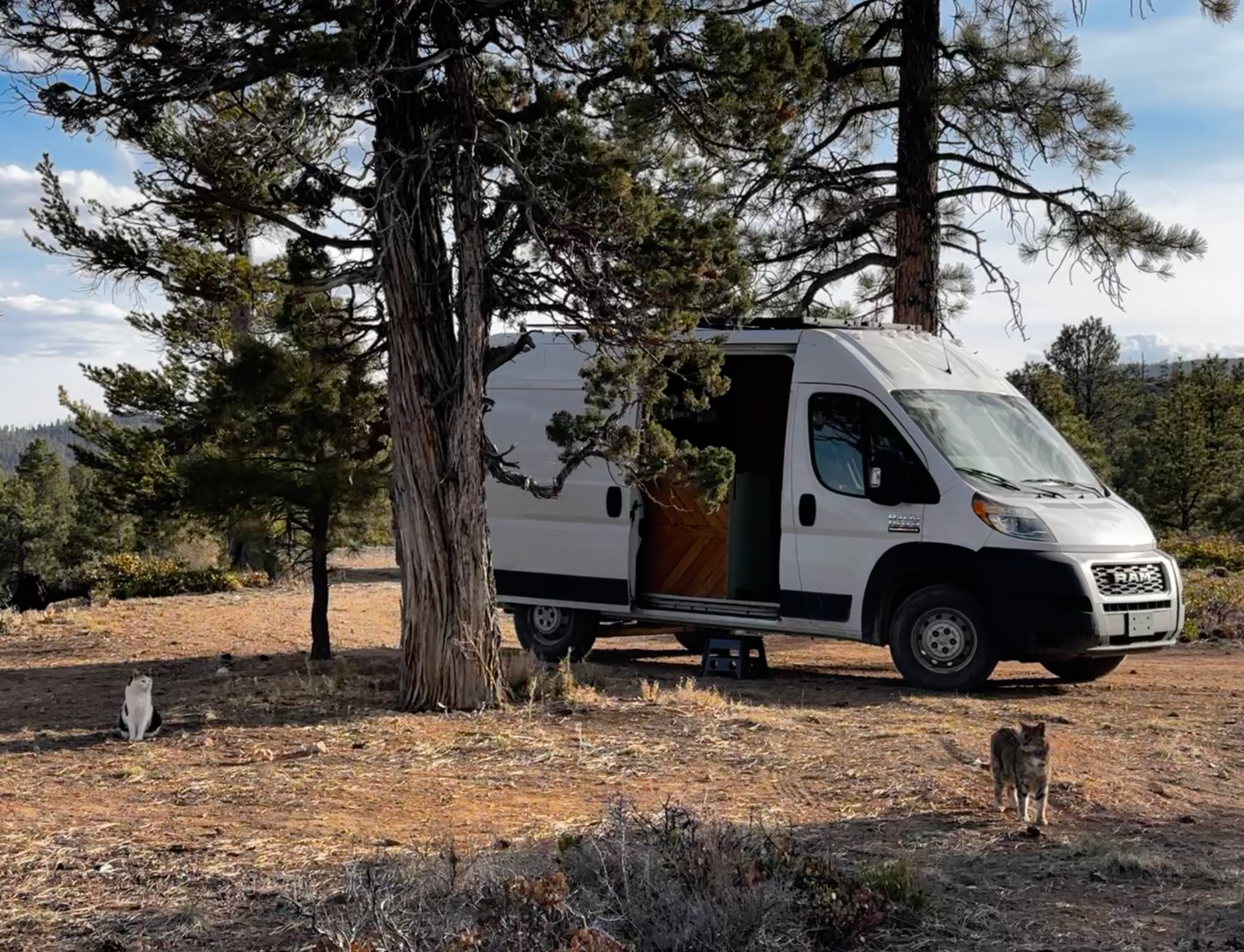 Which Way Should You Park Your Van? Sun, Shade, and the Seasons