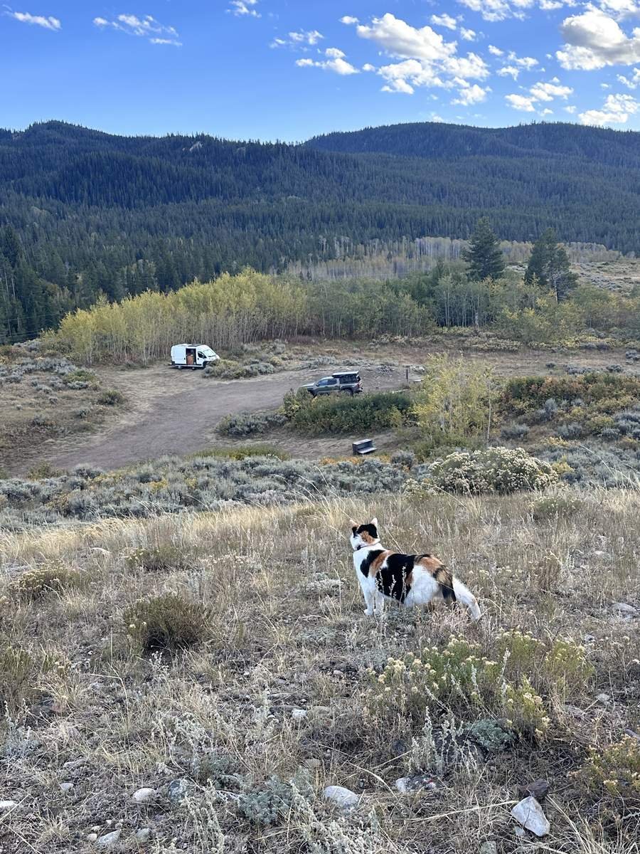 Why Van Life Is the Best Life for Introverts (From One Who Lives It)